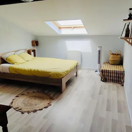 Duplex Avec Vue *
